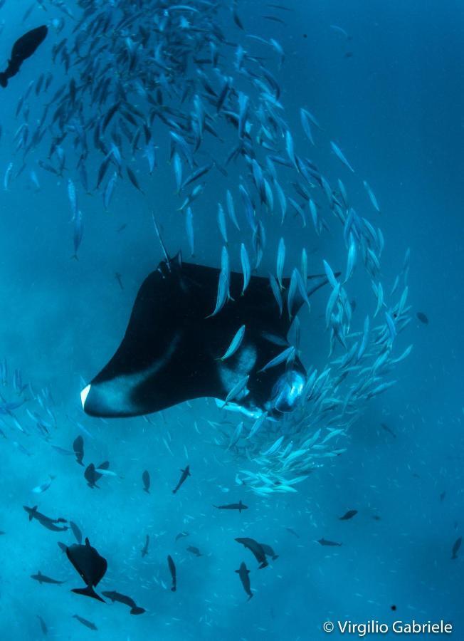 Faima Fishing Lodge At Daravandhoo Dharavandhoo Εξωτερικό φωτογραφία