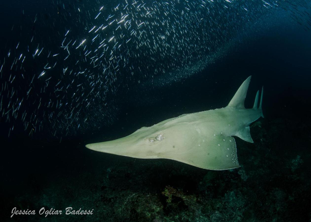 Faima Fishing Lodge At Daravandhoo Dharavandhoo Εξωτερικό φωτογραφία