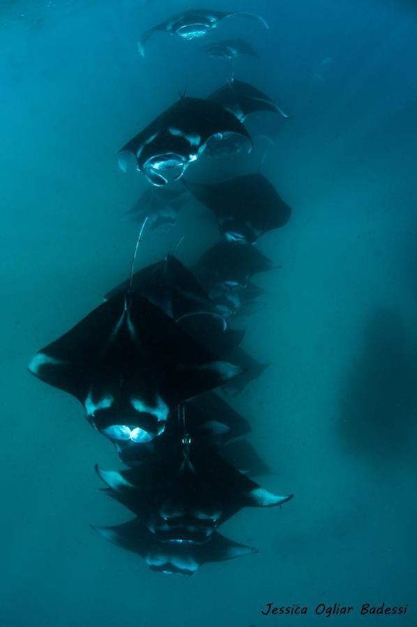 Faima Fishing Lodge At Daravandhoo Dharavandhoo Εξωτερικό φωτογραφία