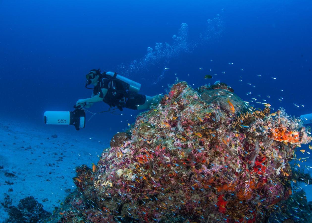 Faima Fishing Lodge At Daravandhoo Dharavandhoo Εξωτερικό φωτογραφία