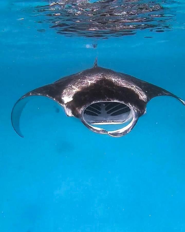 Faima Fishing Lodge At Daravandhoo Dharavandhoo Εξωτερικό φωτογραφία
