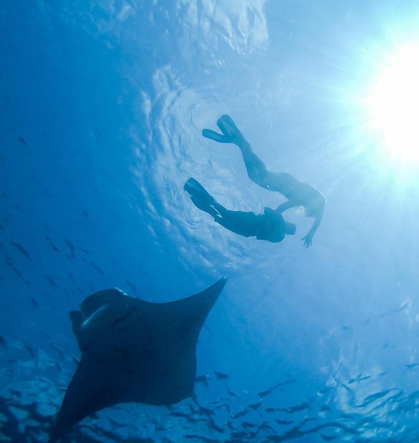 Faima Fishing Lodge At Daravandhoo Dharavandhoo Εξωτερικό φωτογραφία